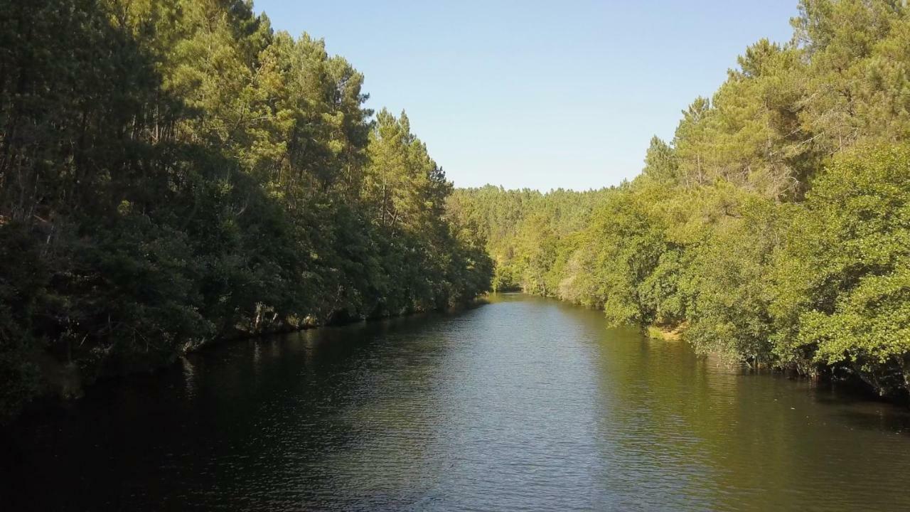 Suites Do Pinhal Proença-a-Nova Eksteriør billede